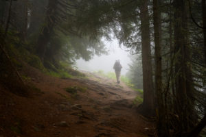 Österreich, Montafon, Wanderer im Bergwald bei Partenen. Österreich, Montafon, Wanderer im Bergwald bei Partenen.