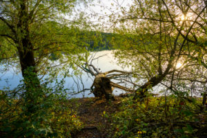 Deutschland, Baden-Württemberg, Karlsruhe, am Grötzinger See. Deutschland, Baden-Württemberg, Karlsruhe, am Grötzinger See.