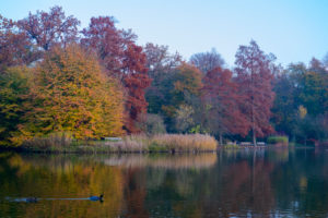 Deutschland, Baden-Württemberg, Karlsruhe, im Schlossgarten. Deutschland, Baden-Württemberg, Karlsruhe, im Schlossgarten.