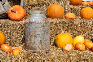Austria, Serfaus-Fiss-Ladis, pumpkins, Serfaus. Austria, Serfaus-Fiss-Ladis, pumpkins, Serfaus.