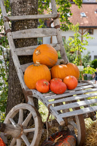 Austria, Serfaus-Fiss-Ladis, Serfaus, Pumpkins as decoration. Austria, Serfaus-Fiss-Ladis, Serfaus, Pumpkins as decoration.