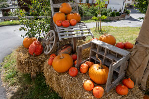 Austria, Serfaus-Fiss-Ladis, Serfaus, Pumpkins as decoration. Austria, Serfaus-Fiss-Ladis, Serfaus, Pumpkins as decoration.