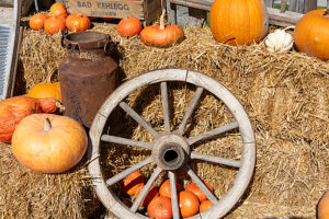 Austria, Serfaus-Fiss-Ladis, Serfaus, Pumpkins as decoration. Austria, Serfaus-Fiss-Ladis, Serfaus, Pumpkins as decoration.
