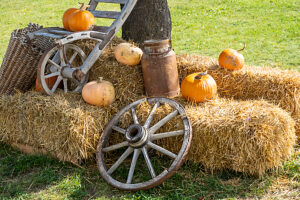 Austria, Serfaus-Fiss-Ladis, Serfaus, Pumpkins as decoration. Austria, Serfaus-Fiss-Ladis, Serfaus, Pumpkins as decoration.
