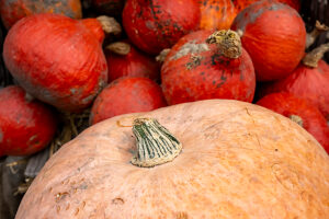 Pumpkins Pumpkins