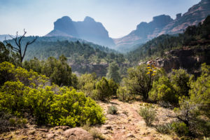 Oak Creek Canyon, Coconino National Forest, Red Rock Country, Arizona, USA Oak Creek Canyon, Coconino National Forest, Red Rock Country, Arizona, USA