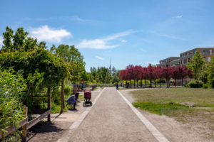 Park an der Jugendfarm Moritzhof, Verlängerung vom Mauerpark, Prenzlauer Park, Berlin Park an der Jugendfarm Moritzhof, Verlängerung vom Mauerpark, Prenzlauer Park, Berlin