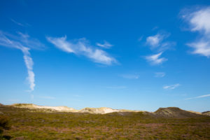 Sylt, nature, nature reserve, North Sea Sylt, nature, nature reserve, North Sea