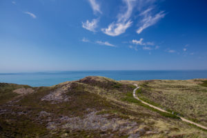 Sylt, nature, nature reserve, North Sea Sylt, nature, nature reserve, North Sea