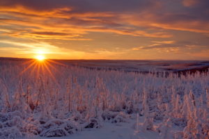 North America, Canada, Yukon, Yukon Territory, Dempster Highway, sunset on Dempster Highway North America, Canada, Yukon, Yukon Territory, Dempster Highway, sunset on Dempster Highway