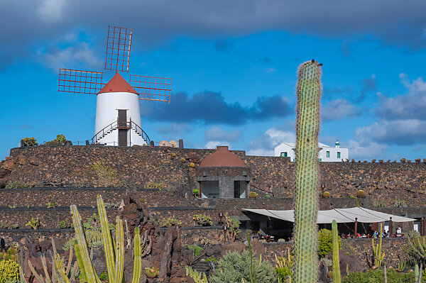 Bildagentur | mauritius images | Spain, Province of Las Palmas, Canary  Islands, Lanzarote, Jardin de Cactus