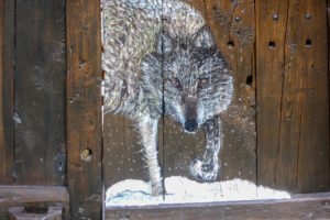 Italy, Piedmont province of Cuneo, Cottian Alps, Valle Maira Dora-Maira massif, Chiappera ski tour, hut, painted wooden wall, wolf Italy, Piedmont province of Cuneo, Cottian Alps, Valle Maira Dora-Maira massif, Chiappera ski tour, hut, painted wooden wall, wolf