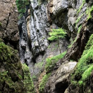Partnachklamm, Partenkirchen, Garmisch-Partenkirchen, Garmisch-Partenkirchen, Upper Bavaria, Free State of Bavaria, Germany, Werdenfelser Land Partnachklamm, Partenkirchen, Garmisch-Partenkirchen, Garmisch-Partenkirchen, Upper Bavaria, Free State of Bavaria, Germany, Werdenfelser Land