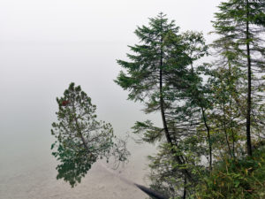 Lake, lakeshore, trees, fog, morning fog, autumn mood, late summer, autumn Lake, lakeshore, trees, fog, morning fog, autumn mood, late summer, autumn