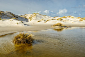 Dunes, beach, dune valley, beach grass, wind, foredunes, North Sea, North Sea beach, planks Dunes, beach, dune valley, beach grass, wind, foredunes, North Sea, North Sea beach, planks
