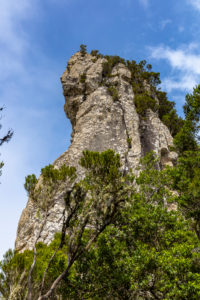 'Roque Anambro' on 'Bosque Encantado' hiking trail in the cloud forest of the Anaga Mountains, Tenerife, Spain 'Roque Anambro' on 'Bosque Encantado' hiking trail in the cloud forest of the Anaga Mountains, Tenerife, Spain