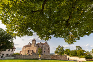View of large linden tree in the courtyard of Cadolzburg Castle in the late afternoon, Cadolzburg, Franconia, Bavaria, Germany View of large linden tree in the courtyard of Cadolzburg Castle in the late afternoon, Cadolzburg, Franconia, Bavaria, Germany