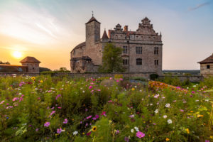 Flower meadow in front of Cadolzburg Castle in the evening light, Cadolzburg, Franconia, Bavaria, Germany Flower meadow in front of Cadolzburg Castle in the evening light, Cadolzburg, Franconia, Bavaria, Germany