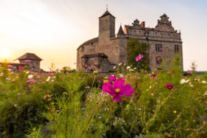 Flower meadow in front of Cadolzburg Castle in the evening light, Cadolzburg, Franconia, Bavaria, Germany Flower meadow in front of Cadolzburg Castle in the evening light, Cadolzburg, Franconia, Bavaria, Germany