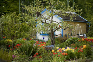 Allotment, flowers, summer house, Allotment, flowers, summer house,