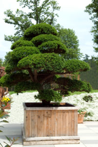 sichtschutz garten bambus obi Sichtschutz Kunststoff main image 0