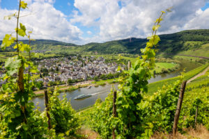 Vineyards on the Moselle, Pünderich, Rhineland-Palatinate, Germany Vineyards on the Moselle, Pünderich, Rhineland-Palatinate, Germany