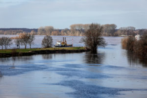 Lippe, flood in the renatured floodplain area at the mouth of the Lippe into the Rhine, Wesel, Lower Rhine, North Rhine-Westphalia, Germany Lippe, flood in the renatured floodplain area at the mouth of the Lippe into the Rhine, Wesel, Lower Rhine, North Rhine-Westphalia, Germany