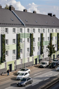 Essen, Ruhr area, North Rhine-Westphalia, Germany - Wall-bound facade greening on freshly renovated residential buildings of the Allbau housing association on the busy B224 Gladbecker Straße in Altenessen, the vertical gardens, planted with perennials, grasses and small wood, filter pollutants from the air and improve the urban climate. Essen, Ruhr area, North Rhine-Westphalia, Germany - Wall-bound facade greening on freshly renovated residential buildings of the Allbau housing association on the busy B224 Gladbecker Straße in Altenessen, the vertical gardens, planted with perennials, grasses and small wood, filter pollutants from the air and improve the urban climate.