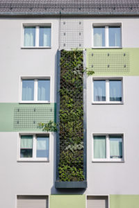 Essen, Ruhr area, North Rhine-Westphalia, Germany - Wall-bound facade greening on freshly renovated residential buildings of the Allbau housing association on the busy B224 Gladbecker Straße in Altenessen, the vertical gardens, planted with perennials, grasses and small wood, filter pollutants from the air and improve the urban climate. Essen, Ruhr area, North Rhine-Westphalia, Germany - Wall-bound facade greening on freshly renovated residential buildings of the Allbau housing association on the busy B224 Gladbecker Straße in Altenessen, the vertical gardens, planted with perennials, grasses and small wood, filter pollutants from the air and improve the urban climate.