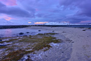Coast at Lillefjord Coast at Lillefjord