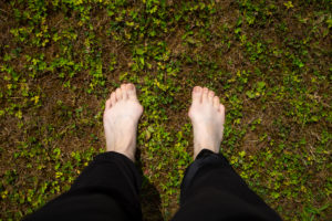 Füße mit Hallux Valgus im Gras Füße mit Hallux Valgus im Gras