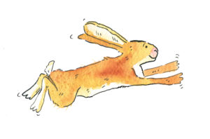 Illustration, bunny Illustration, bunny