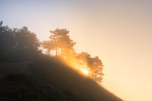 Sonnenaufgang über dem Jenzig bei Morgennebel Sonnenaufgang über dem Jenzig bei Morgennebel