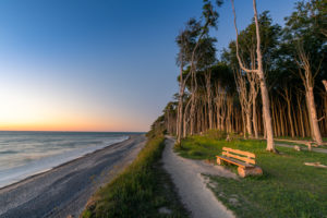 Sonnenuntergang im Gespensterwald bei Nienhagen an der Ostsee. Sonnenuntergang im Gespensterwald bei Nienhagen an der Ostsee.