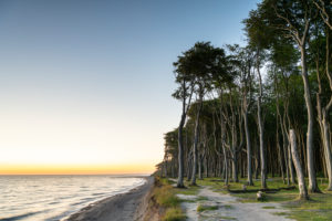 Sonnenuntergang im Gespensterwald bei Nienhagen an der Ostsee. Sonnenuntergang im Gespensterwald bei Nienhagen an der Ostsee.