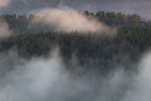 Sunrise with fog in the Saale valley, view from the Leuchtenburg in Thuringia. Sunrise with fog in the Saale valley, view from the Leuchtenburg in Thuringia.
