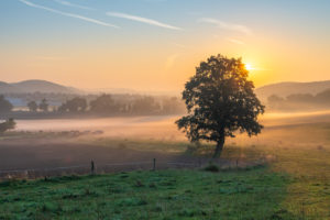 Sunrise with morning mist in Thuringia. Sunrise with morning mist in Thuringia.