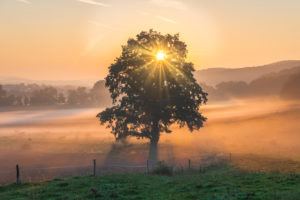 Sonnenaufgang mit Bodennebel in Thüringen, Deutschland. Sonnenaufgang mit Bodennebel in Thüringen, Deutschland.