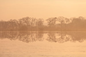 View of flooded parts of the Marais du Cotentin et Bessin swamp in winter. At Carentan, Normandy. View of flooded parts of the Marais du Cotentin et Bessin swamp in winter. At Carentan, Normandy.