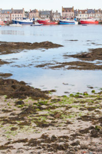 Boats in Barfleur harbor at low tide. The town is one of the most beautiful places in France. Boats in Barfleur harbor at low tide. The town is one of the most beautiful places in France.