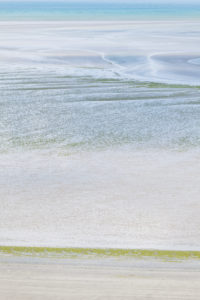 The bay of Saint Brieuc with green algae in summer. National nature reserve. Brittany, France The bay of Saint Brieuc with green algae in summer. National nature reserve. Brittany, France