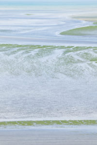 The bay of Saint Brieuc with green algae in summer. National nature reserve. Brittany, France The bay of Saint Brieuc with green algae in summer. National nature reserve. Brittany, France