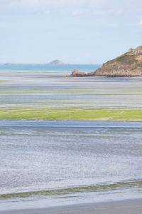 The bay of Saint Brieuc with green algae in summer. National nature reserve. Brittany, France The bay of Saint Brieuc with green algae in summer. National nature reserve. Brittany, France