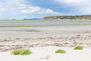 The bay of Saint Brieuc with green algae in summer. National nature reserve. Brittany, France The bay of Saint Brieuc with green algae in summer. National nature reserve. Brittany, France