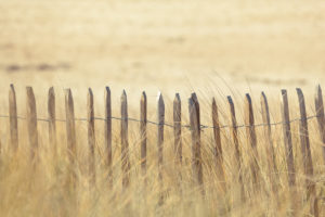 Wooden fence in a dune on the beach at Cap Frehel in Brittany, France. Wooden fence in a dune on the beach at Cap Frehel in Brittany, France.