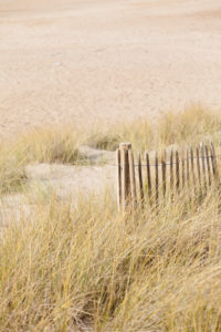 Wooden fence in a dune on the beach at Cap Frehel in Brittany, France. Wooden fence in a dune on the beach at Cap Frehel in Brittany, France.