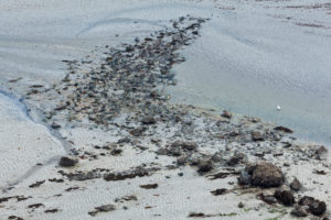 Abstract pattern at low tide in Fresnaye Bay at Cap Frehel Abstract pattern at low tide in Fresnaye Bay at Cap Frehel