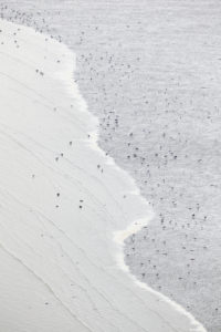 Incoming tide with birds in Fresnaye Bay at Cap Frehel Incoming tide with birds in Fresnaye Bay at Cap Frehel