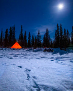 Husky tour through Swedish Lapland, near Kiruna, Sweden