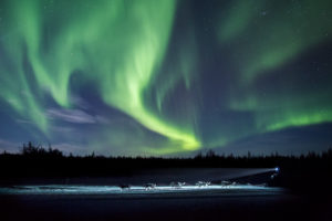 Husky tour through Swedish Lapland, near Kiruna, Sweden